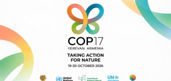 COP17 в Ереване – глобальное международное событие: Фотография